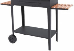 Barbacoa Carbón Y Leña 80 Cm Con Chimenea Y Carro 6 Barbacoa Carbón Y Leña 80 Cm Con Chimenea Y Carro -Parilla Ventas 2024 Barbacoa Carbon y Lena 80 cm con Chimenea y Carro2