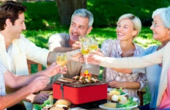 Barbacoa Portatil Sin Humo Vesubio Gris -Parilla Ventas 2024 Barbacoa Portatil Sin Humo Vesubio Gris 16