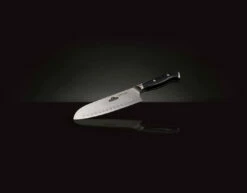 Cuchillo Santoku Napoleon 7 Cuchillo Santoku Napoleon -Parilla Ventas 2024 Cuchillo Santoku Napoleon 2