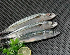 Plancha Hierro Fundido Redonda 65 Cm. 5 Plancha Hierro Fundido Redonda 65 Cm. -Parilla Ventas 2024 Plancha Hierro Fundido Redonda 65 cm 2