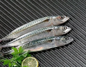 Plancha Hierro Fundido Redonda 65 Cm. 4 Plancha Hierro Fundido Redonda 65 Cm. - Imagen 2